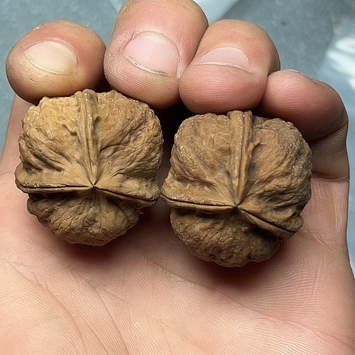 把件文玩核桃17号揣兜三楞