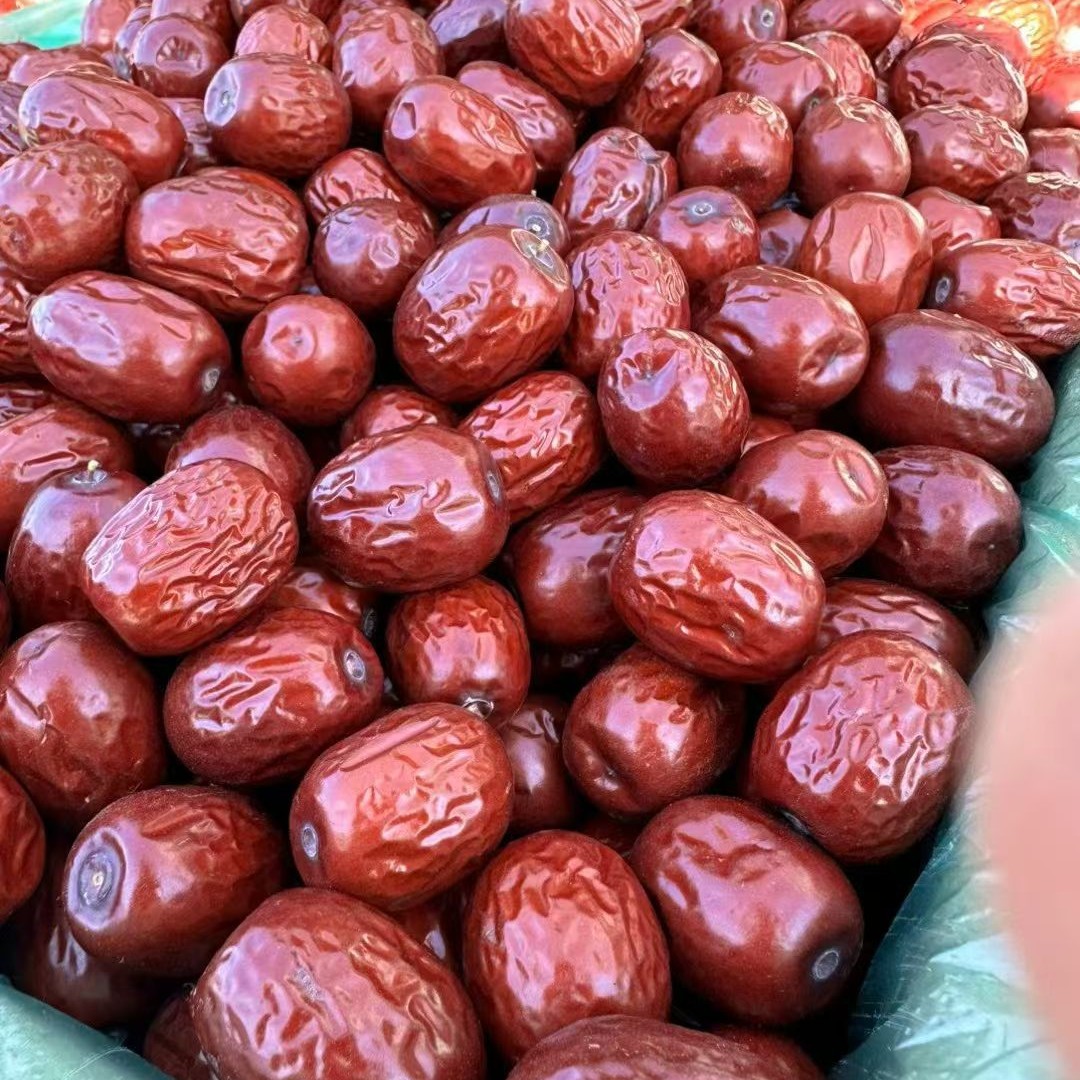 和田骏枣个大饱满可干吃可煲汤的美味特产干果红枣