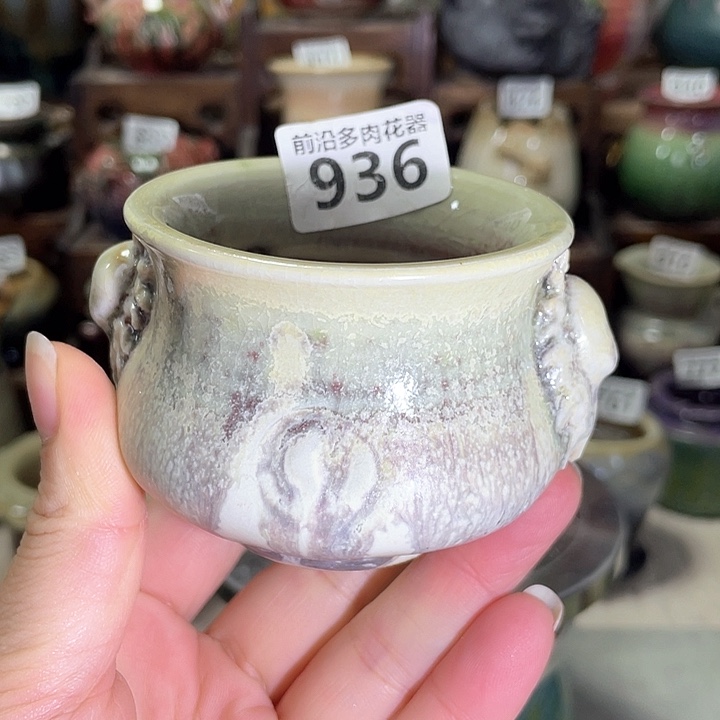 红陶内口径6高度6