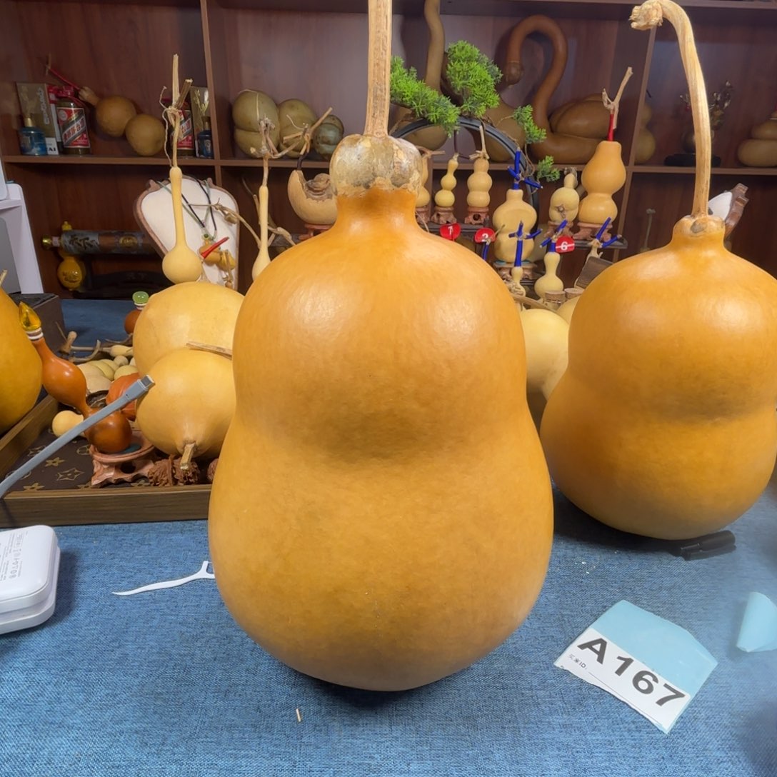 听***茶葫芦葫芦葫芦葫芦