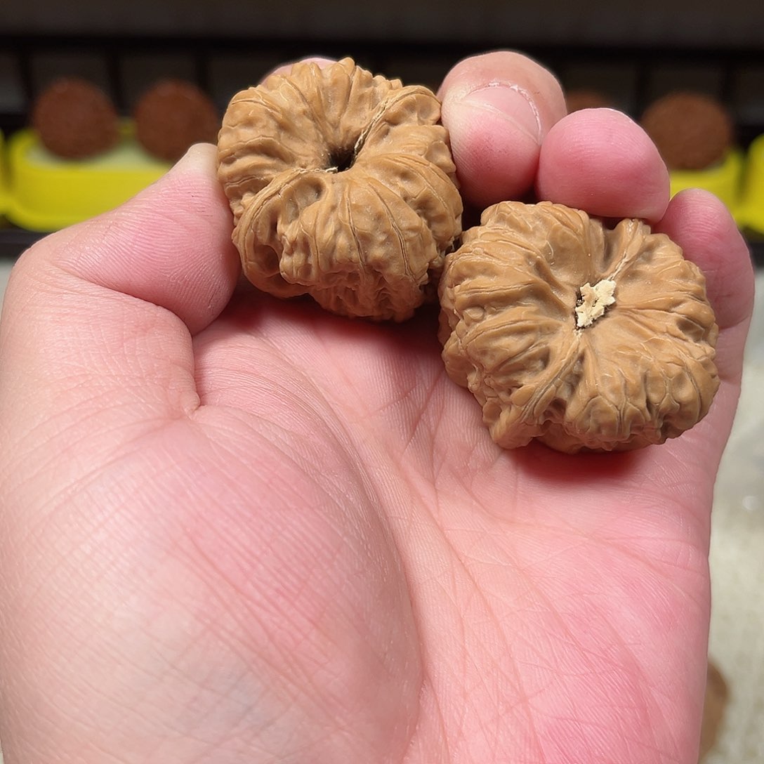 核桃手串/手链平谷凹底全品 尺寸37