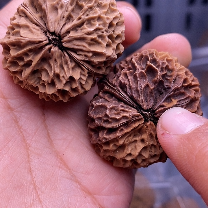 文玩核桃把件   101