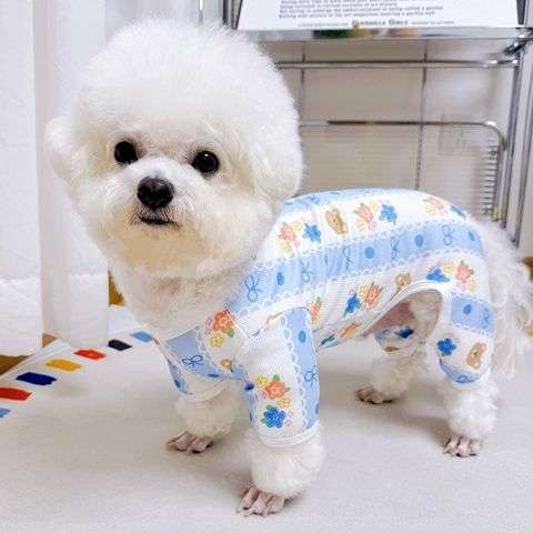 狗狗宠物衣服小中大型犬春秋比熊柯基金毛防掉毛狗狗四脚衣宠物