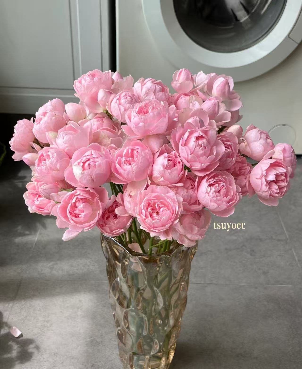 花花 午夜七星多头玫瑰9支+1支防损 一单包邮云南直发