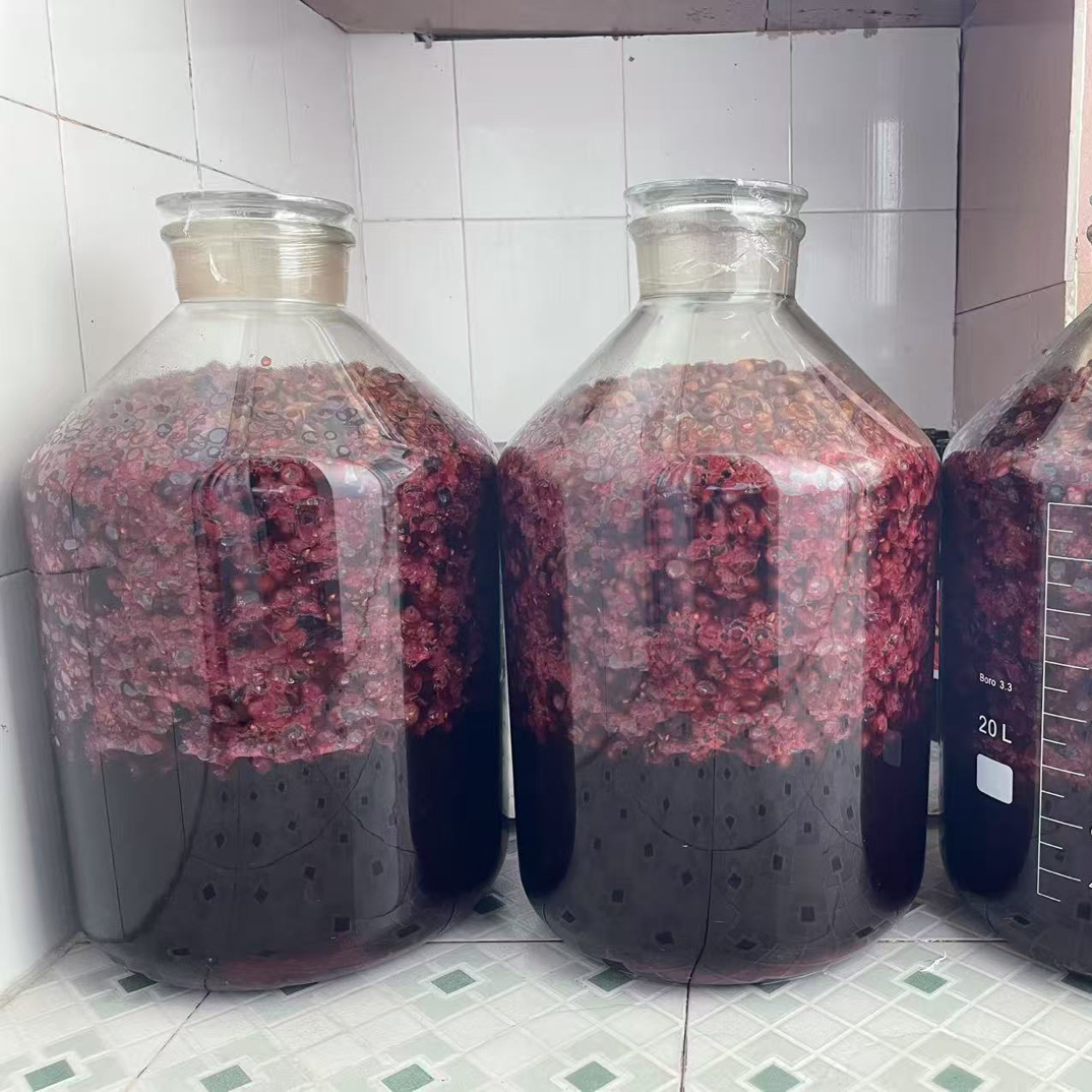 顺丰包邮广西新鲜现摘山野葡萄当季水果酿酒瓶子装专用