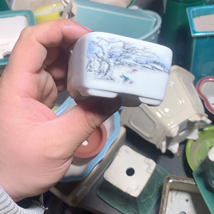 紫砂哈哈真的超级可爱哈哈哈哈哈