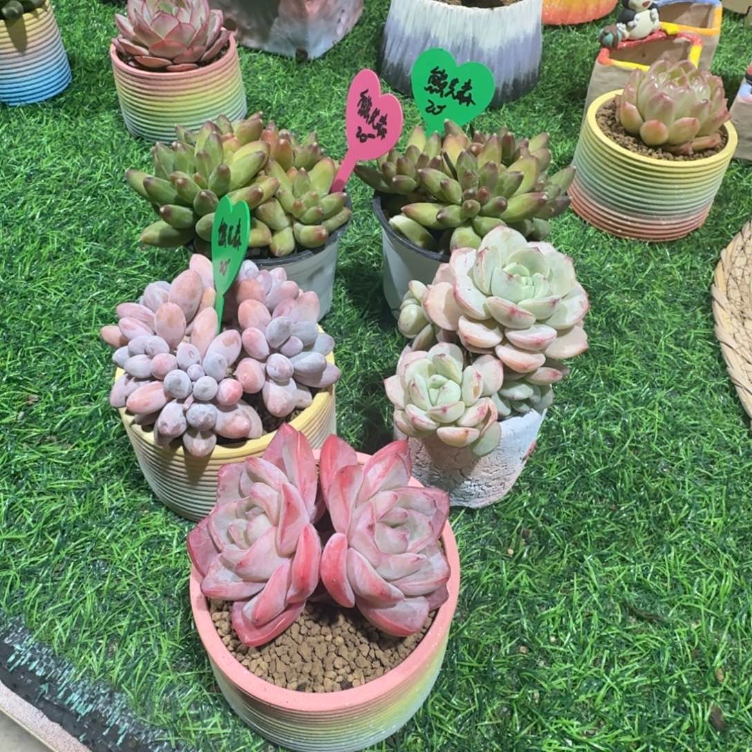 熊***森多哦我的手机东东山山水水