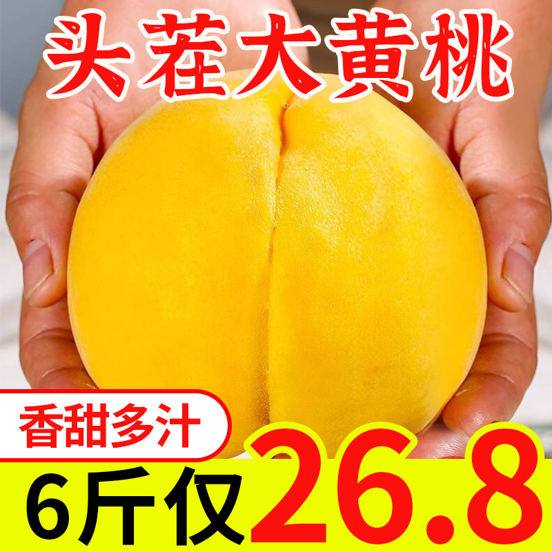 正宗黄金蜜黄桃带箱2-6斤新鲜毛桃子脆桃现摘水果黄肉蜜桃包邮