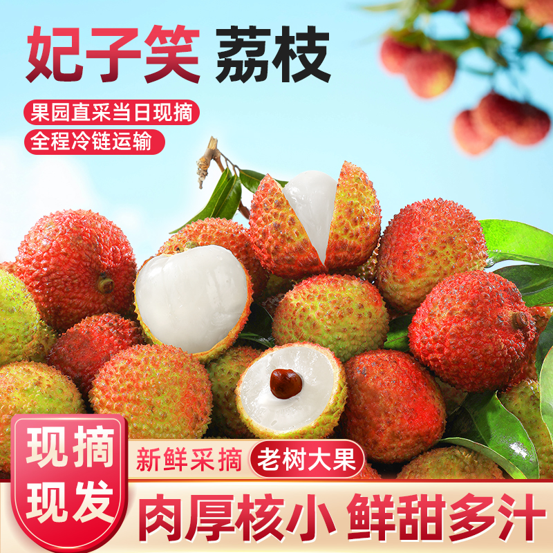 【湛江现货现发】广东湛江荔枝妃子笑果园直发核小肉厚香甜多汁