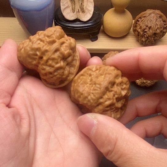 核桃42蛤蟆头麻核桃