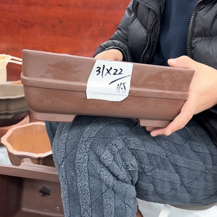 紫砂花盆紫砂的花也太漂亮