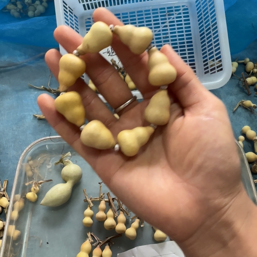 娜***丫打孔不退不换！秒拍秒退拉黑！