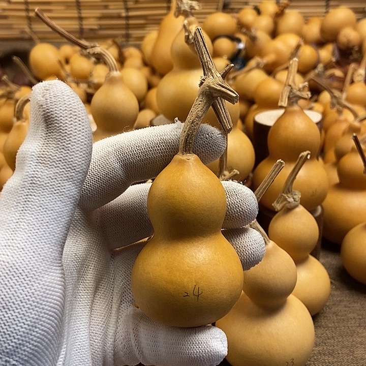 文玩葫芦 完美主义者 慎拍24