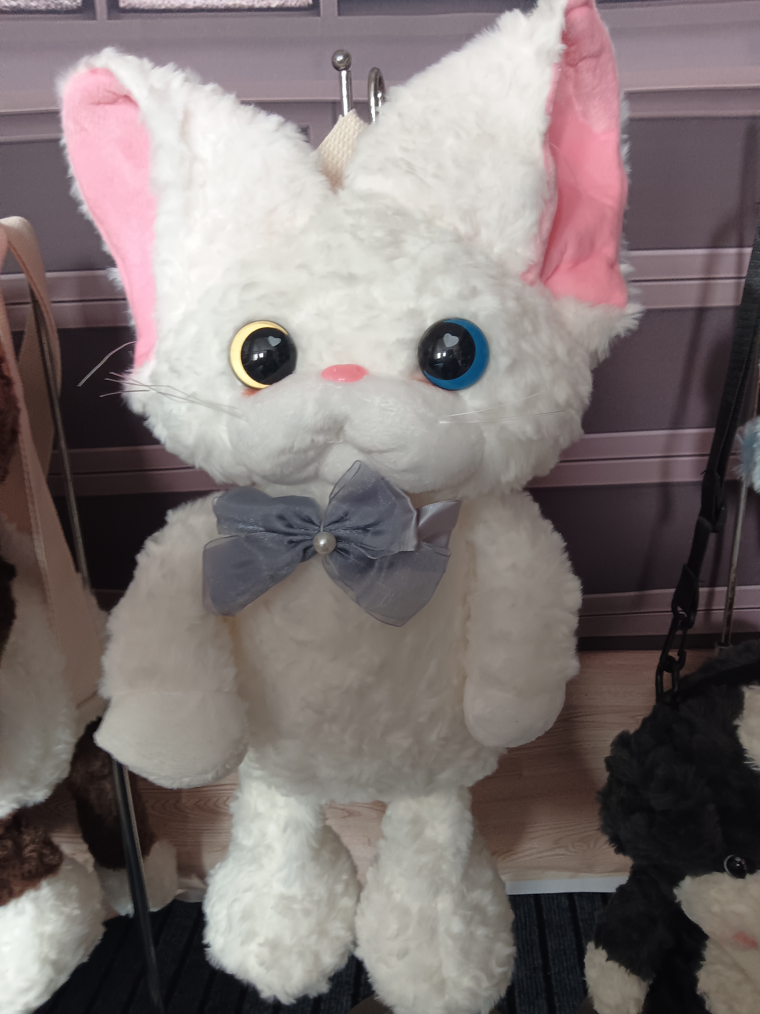 呆萌真造型德文卷毛猫玩偶可爱猫咪布娃娃背包女童生日礼物