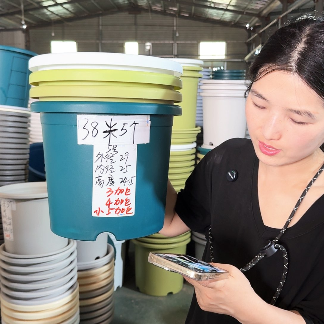 微瑕5#无拖米黄6个