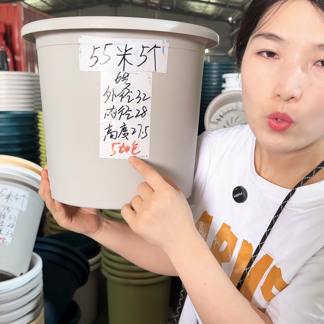 微瑕6#无拖果绿色5个