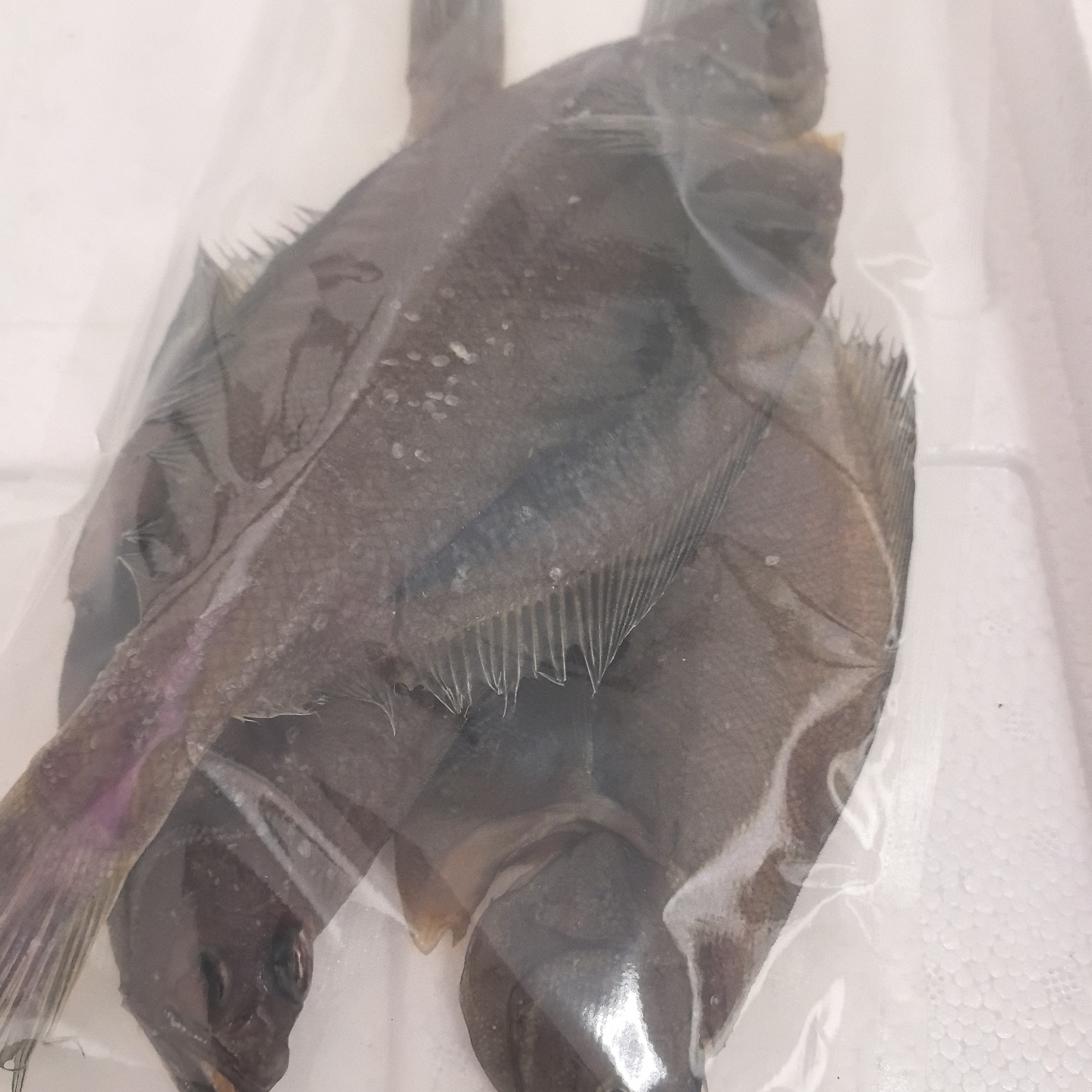 4斤大偏口鱼干（长脖鱼干）（5条一斤）