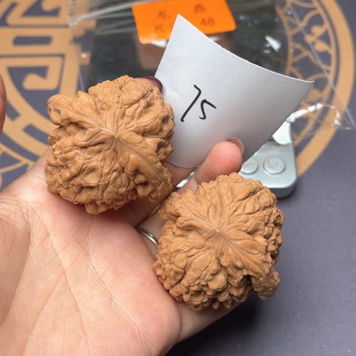 文玩核桃把件48龙鼎