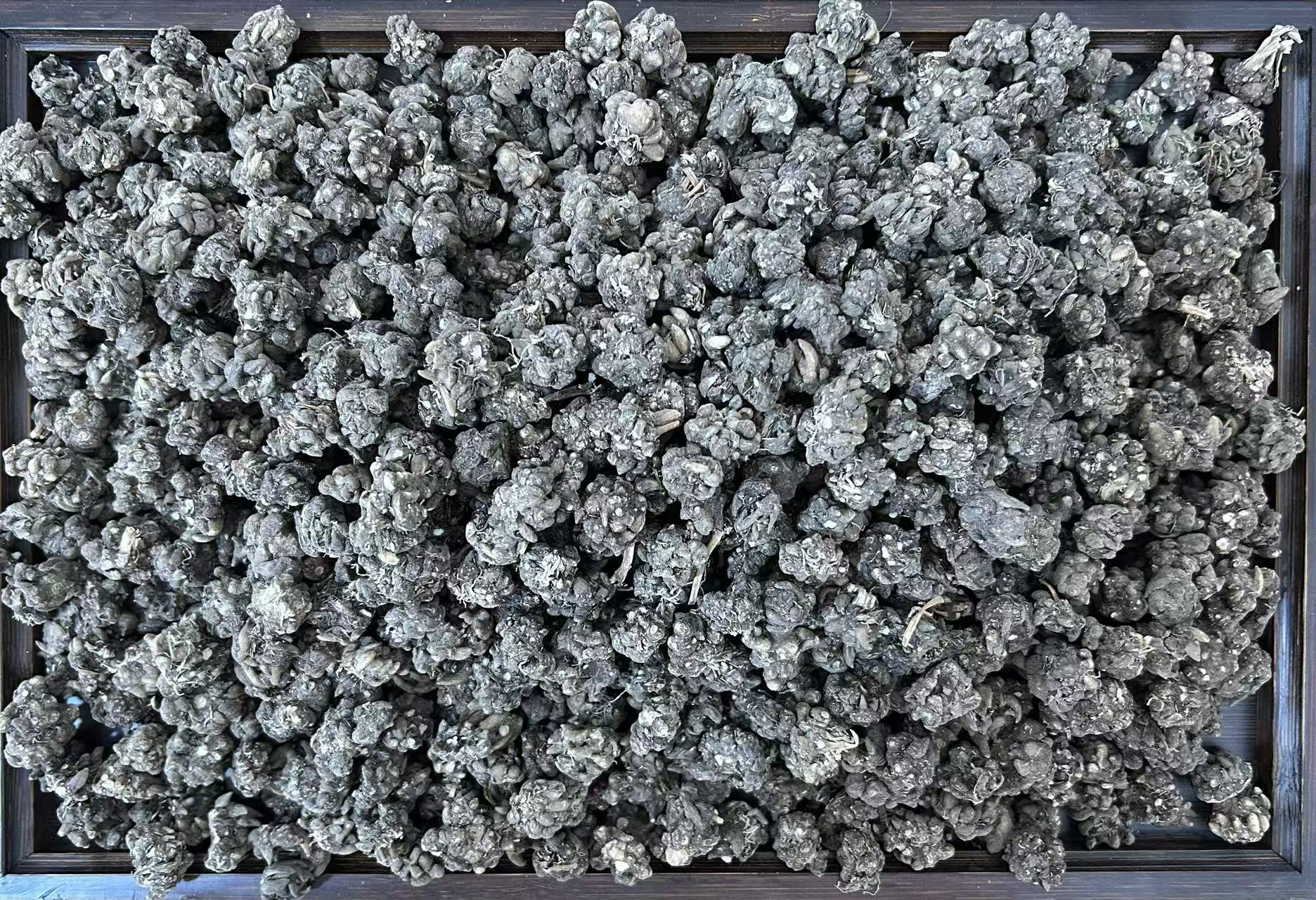 云南特产深山自然生长猫爪草，可搭配夏枯草钻地鼠。