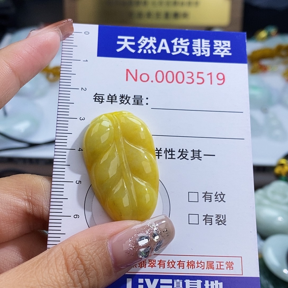 翡翠未镶嵌颈饰3519