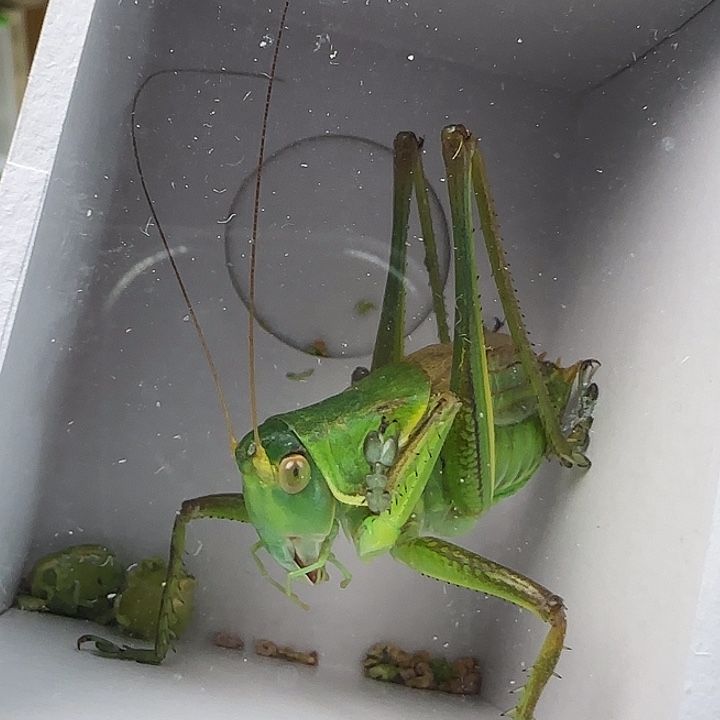 我也是一个人在外面吃的