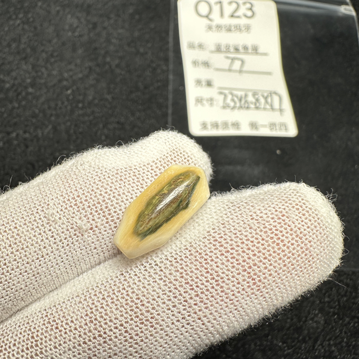 Q123天然猛犸象牙蓝皮鲨鱼背三通7.3*6.8*17mm