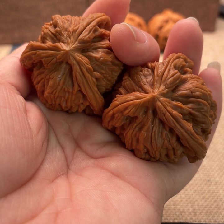 喵***8核桃白狮子41核桃