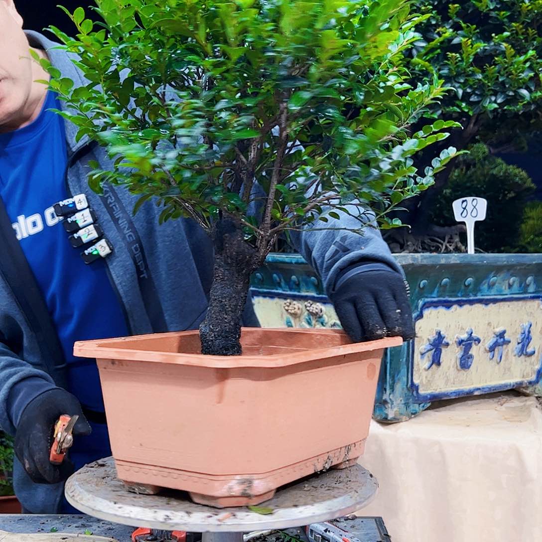 以实际为准威*12345678