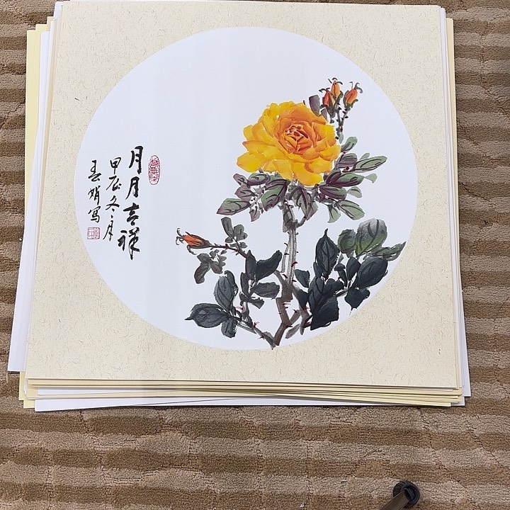 国画花鸟的翅膀是一50.50