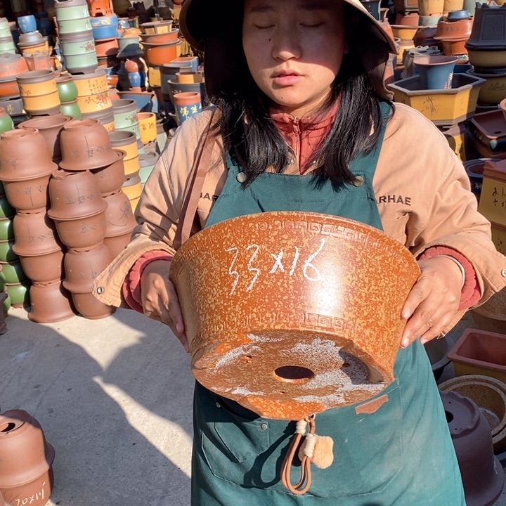 紫砂花盆盆栽花卉苗木种植