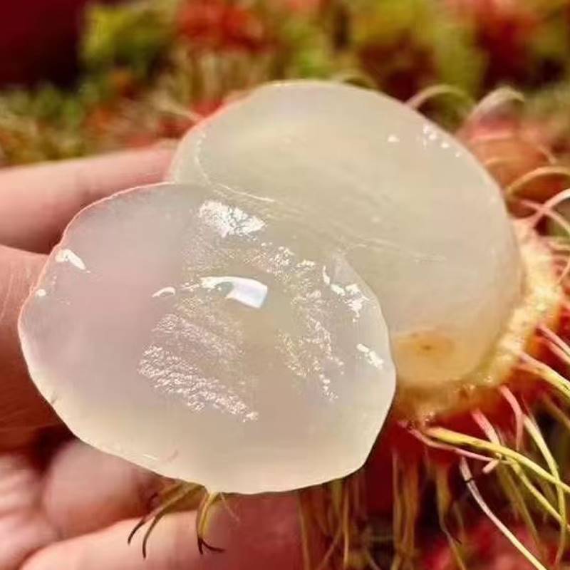 （顺丰冷链）海南保亭红毛丹毛荔枝当季现摘热带鲜甜毛丹包邮