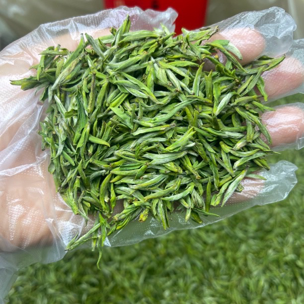 明前新茶安徽毛峰绿茶兰花香散装茶叶
