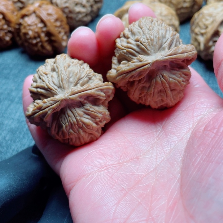 过***～全品无修白狮子38