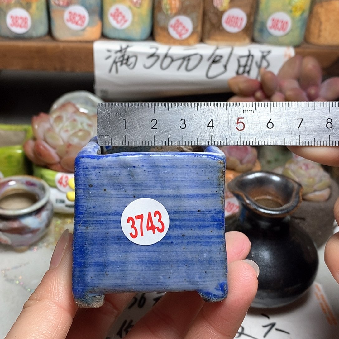 红陶处理的，处理