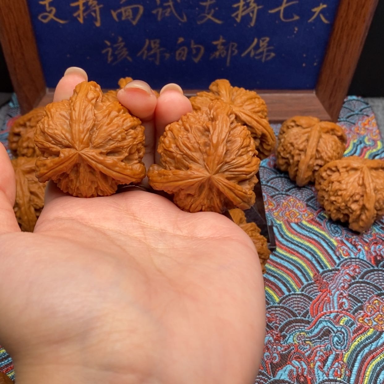 【闪购商品】?****白狮