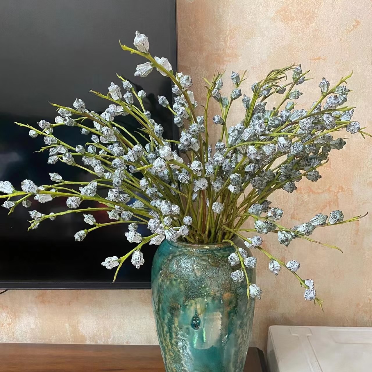 【尤加利果、叶】高级感香氛新宠（店内任意三单包邮）