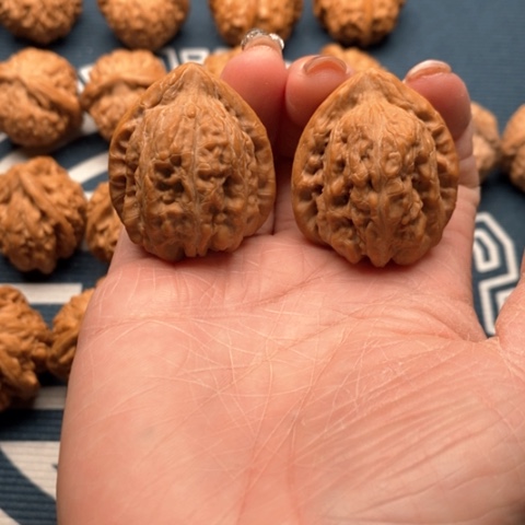 橄榄核手串/手链赤龙鸡心33