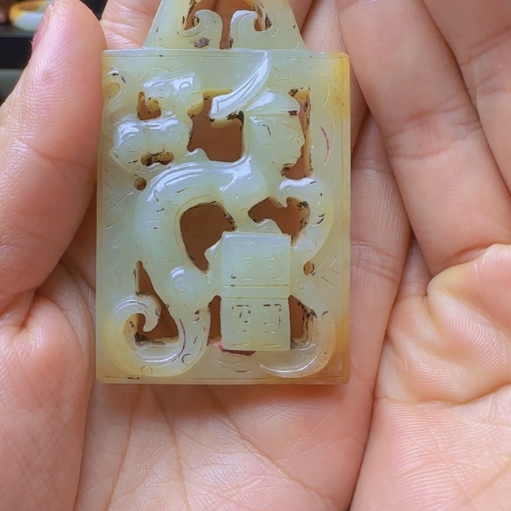 稚***虑贝壳磁石丽丽鲁托法加普陀