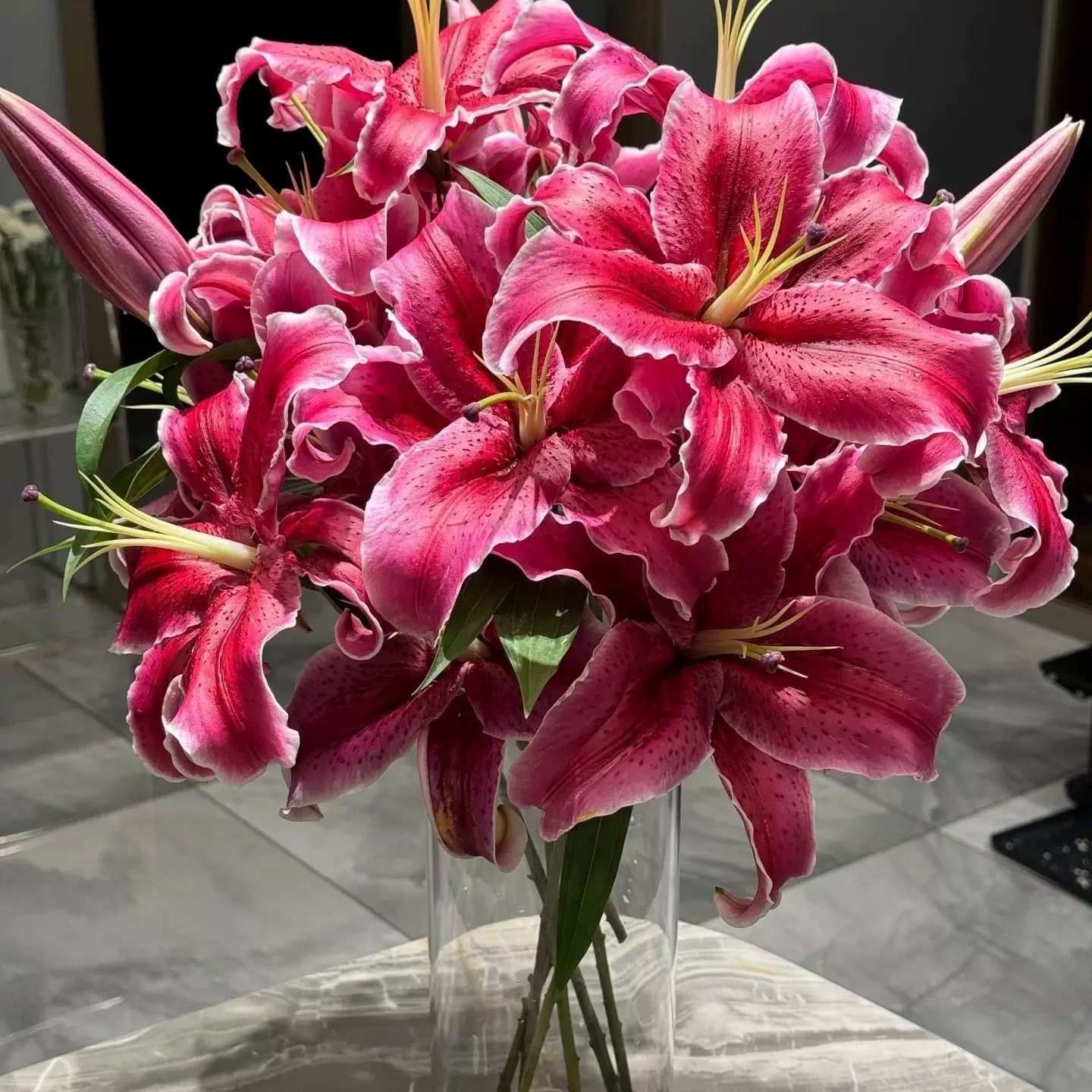 【黑美人】百合鲜花云南基地直发水养店铺任意拍两单鲜花送配草