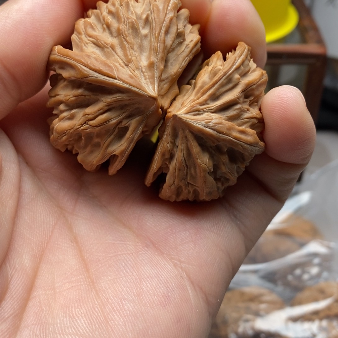 核桃把件九龙筋半壁江山