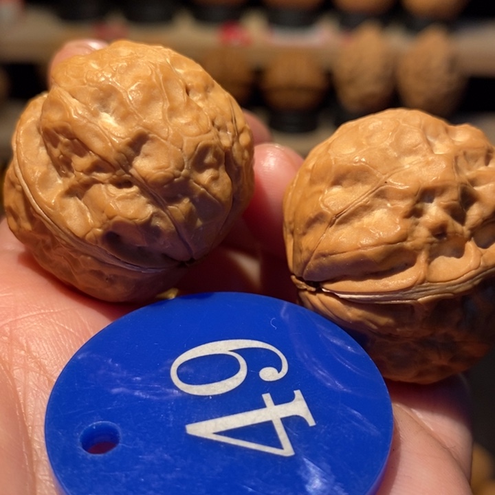 木质类双龙疙瘩包34尺寸