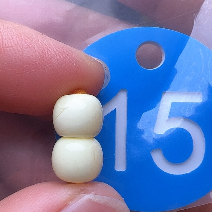 蜜蜡裸石未镶嵌8m m