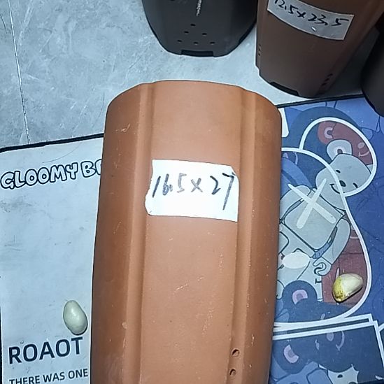 紫砂红泥抽角一个六方