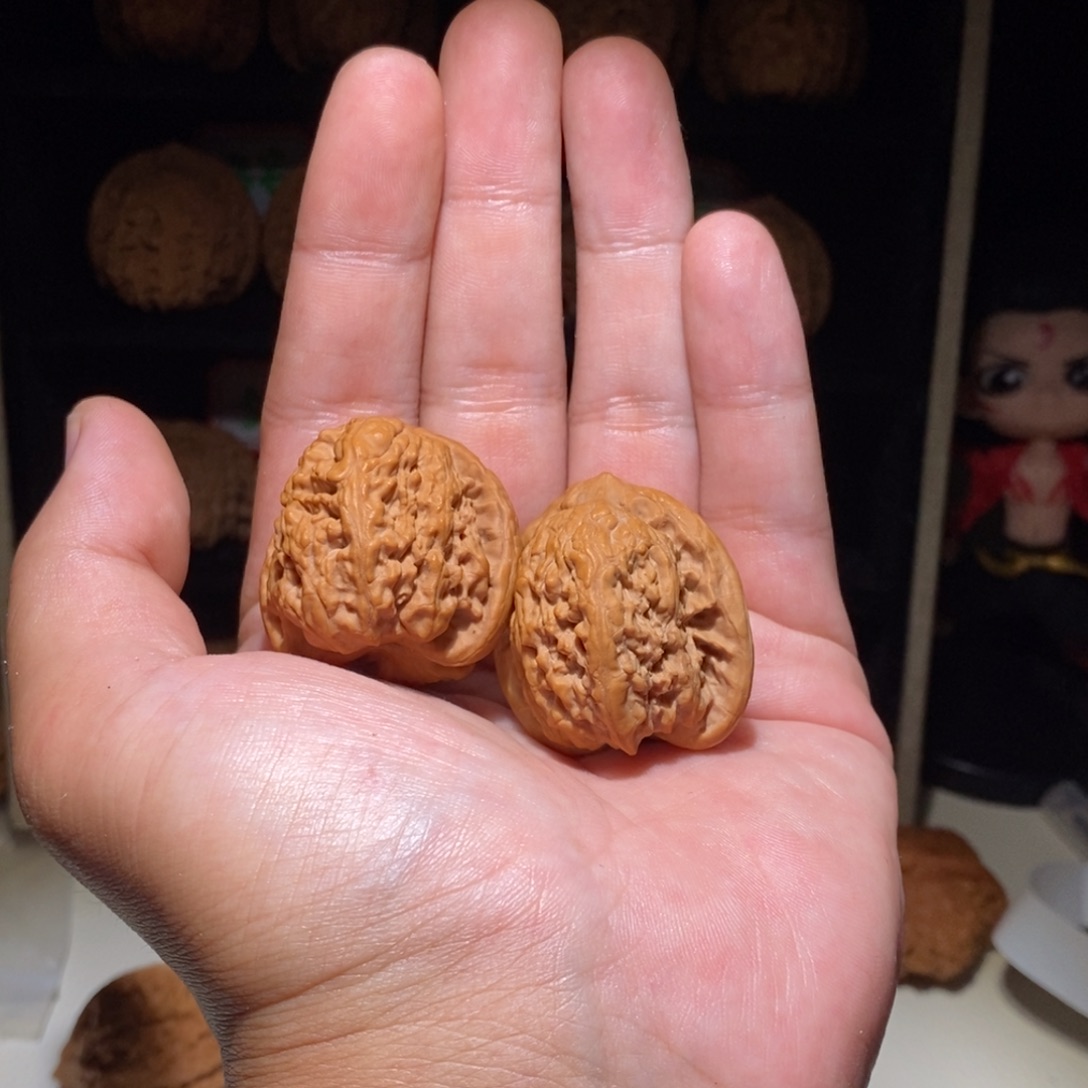 石****文玩核桃把件蚂蚁250066