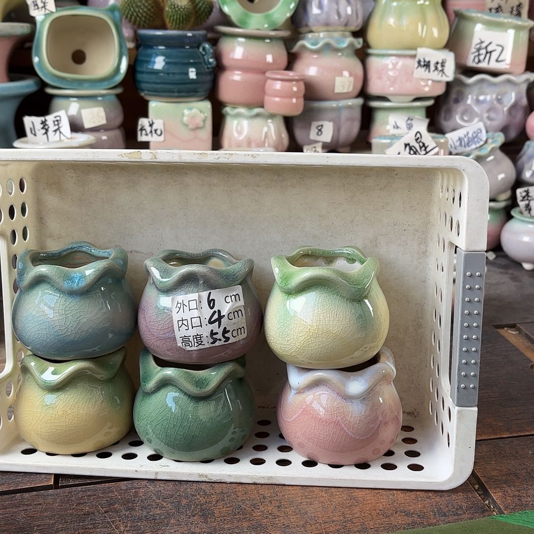 量货/4口高5.5深浅搭配发6