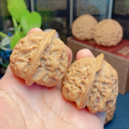 文玩核桃吊坠竹**雨41蓟县梨木台