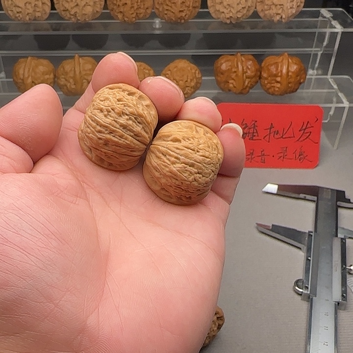 ****核桃铁锤妹妹文玩核桃