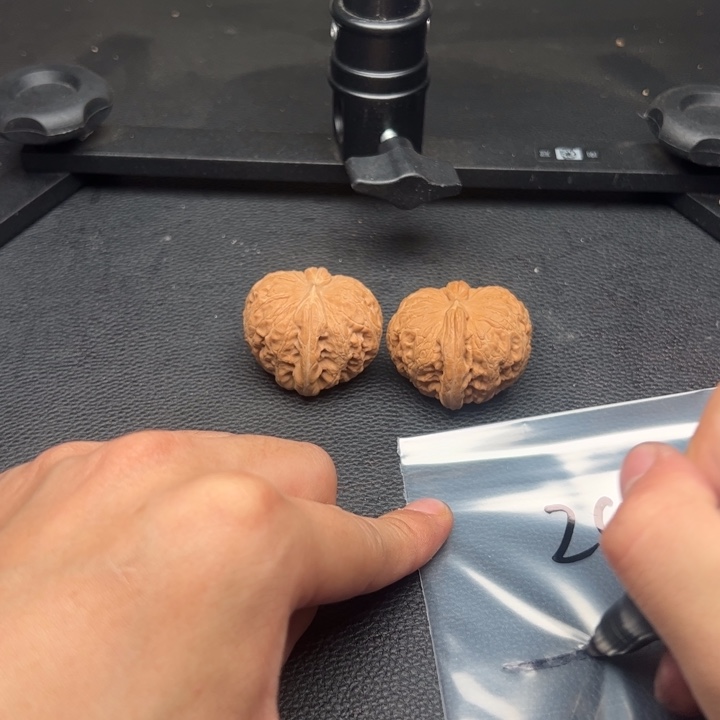 文玩核桃吊坠大*29号核桃