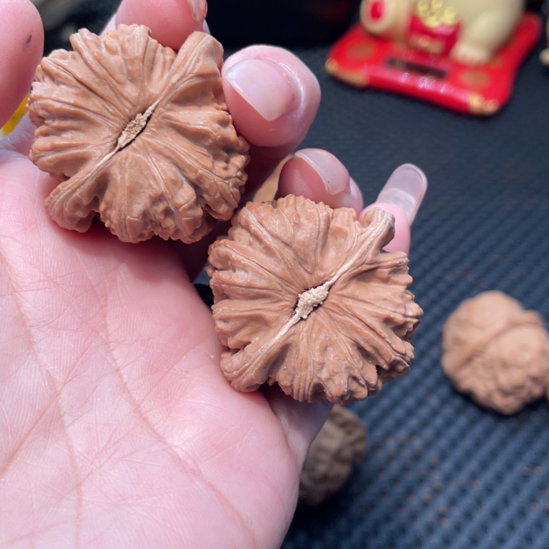 文玩核桃把件白狮子3.8全品