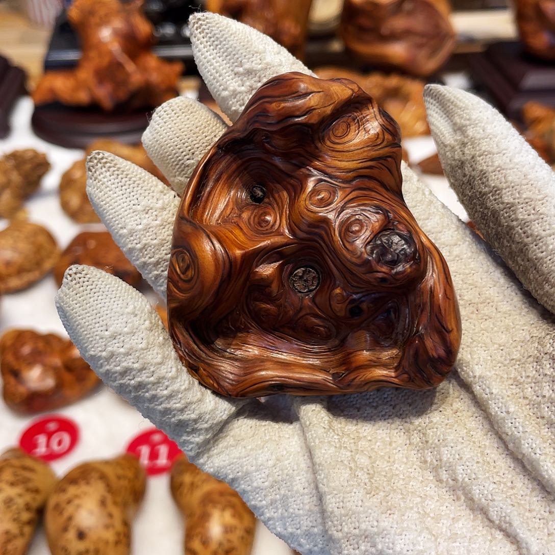 柏木（崖柏）太行崖柏